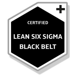 Certified Lean Six Sigma Black Belt for project management excellence.